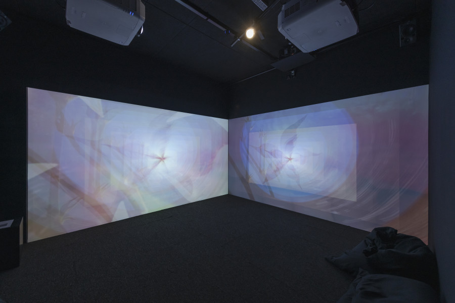 Libby Heany, Nibble My Multiverse, 2025, «Quantum Visions», 2025, HEK, photo: Franz Wamhof