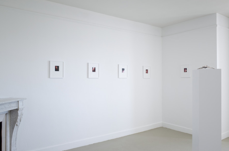 Iouri Podladtchikov & Elio Luxardo: You're Probably Right,Exhibition view, 2023, The Lighthouse, Photo credit: Iouri Podladtchikov.