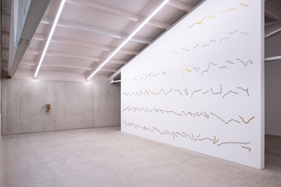 Dadi Wirz, Rivers, 2020-2021. Courtesy the artist. Ausstellungsansicht / Installation view Kunsthaus Baselland 2025. Foto / Photo: Finn Curry