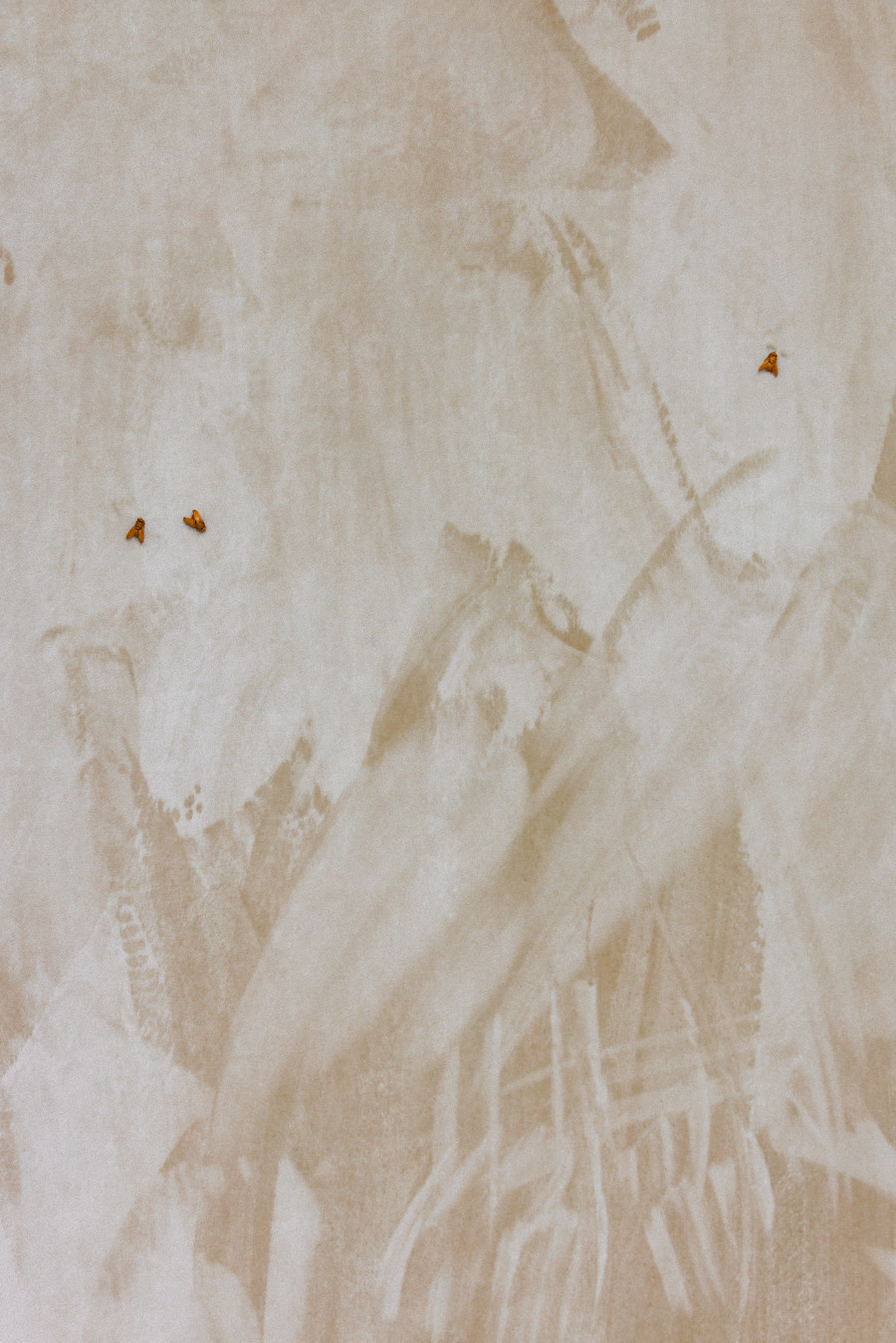 Exhibition view, Clément Grimm, VIDEO 50, KISSED THEN BURNED, Geneva, 2025-2026. Photo credit: Antoni Aeby