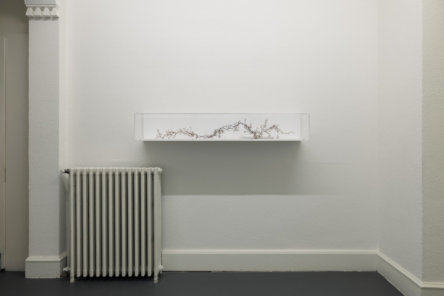 Exhibition view, Laura Langer, Parts Unknown, Galerie Oskar Weiss, Zürich, 2026. Photo credit: Gina Folly