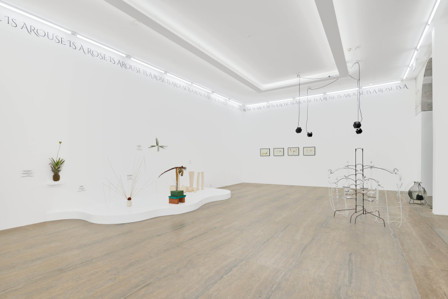 Exhibition view, Jardins Défiants (Defiant Gardens), Halle Nord, Geneva, 2025. Photo credit: © Thomas Maisonnasse / Halle Nord, 2025