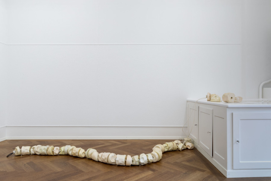 Installation view, MUMBLES SLIDE ALONG THE SLEEVE, KRONE COURONNE, 2023. Credits © Guadalupe Ruiz