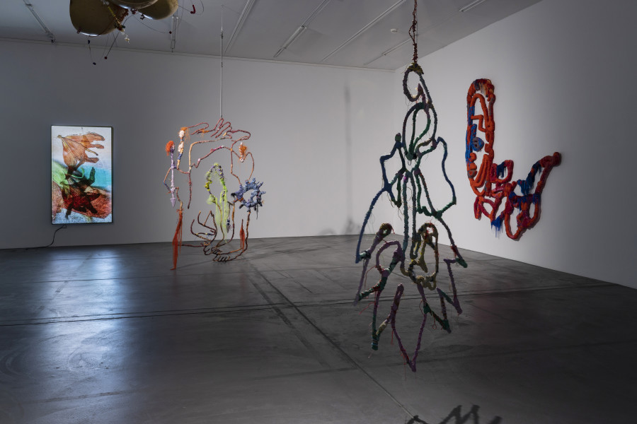 Installation view ‘Julien Creuzet - Orpheus was musing upon braised words (...)’, Luma Westbau, Zurich, 2023. Photo: Nelly Rodriguez