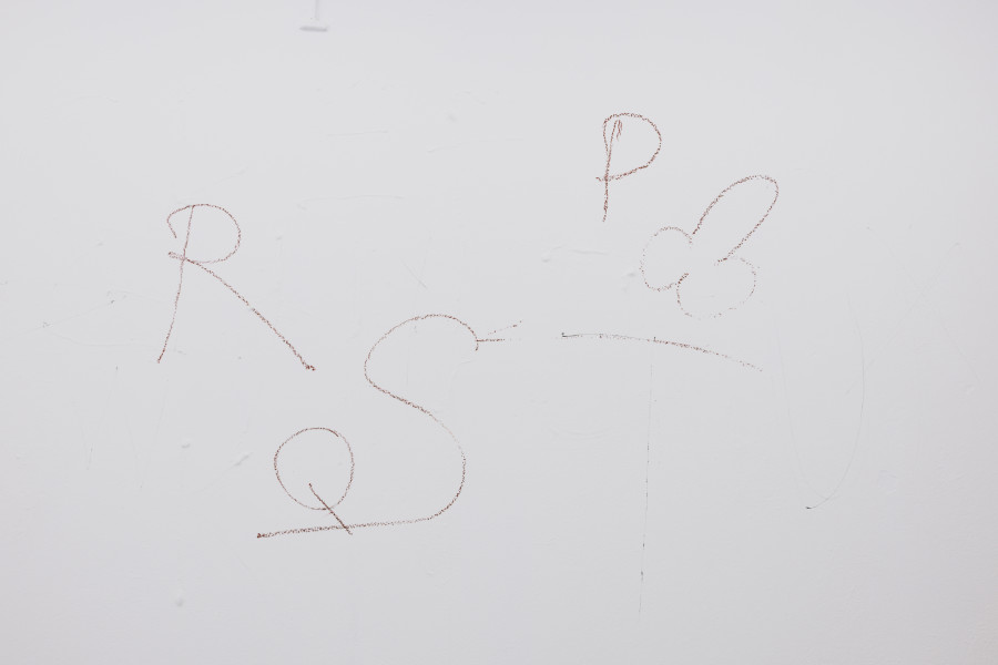 Exhibition view, Nelson Schaub, Platon est mort,  2025 / Photo : Julie Folly / Courtesy : the artist and WallStreet