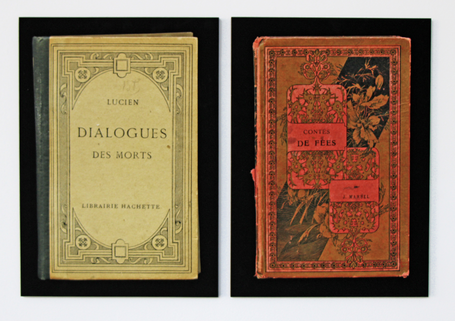Jacqueline Mesmaeker, Bibliothèque, 2023, Print on Hahnemühle paper mounted on panel, Ed. 5/5, each 42 x 29.7 cm