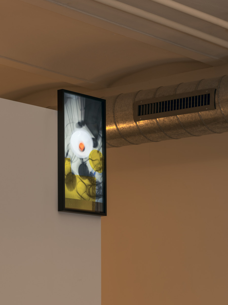 Exhibition view, Daria Blum, HOME SCREEN, 2026. Photo credits: Julian Blum