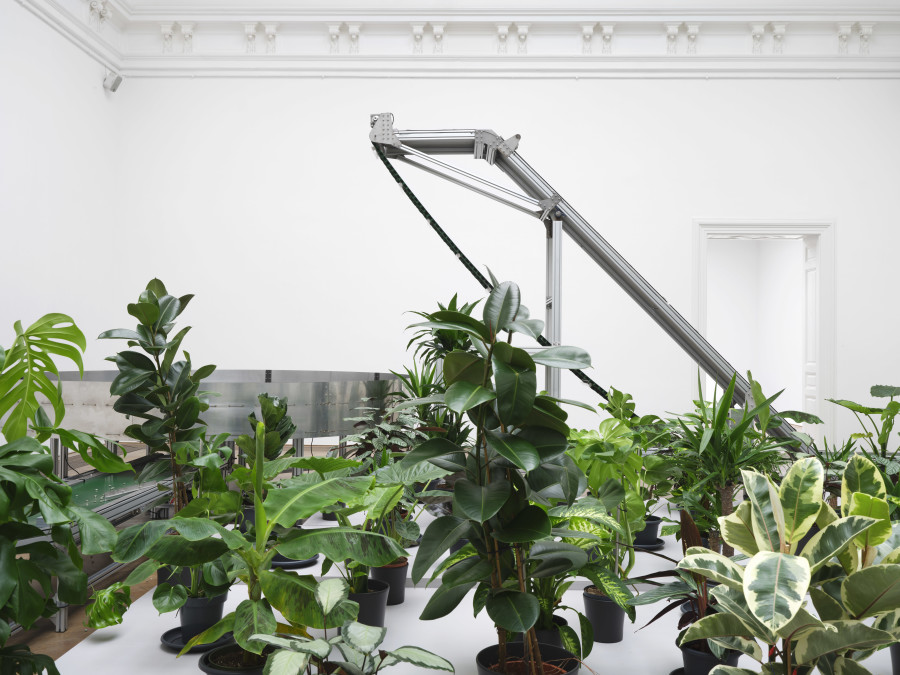 Bagus Pandega, L.O.O.P . (Loss Overgrown Organic Pulse), 2025, detail, in: Bagus Pandega, Sumber Alam, Kunsthalle Basel, 2025, photo: Philipp Hänger / Kunsthalle Basel