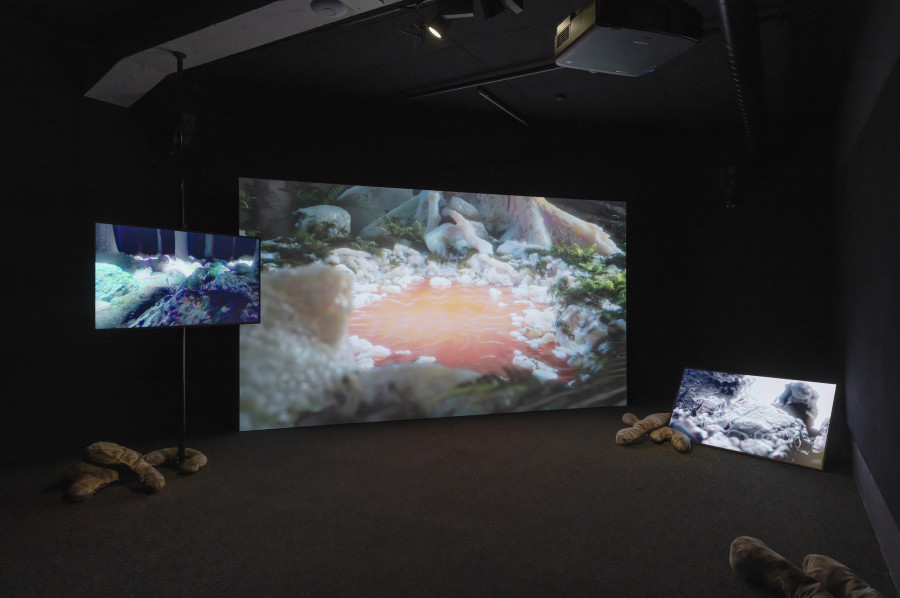 Isabell Bullerschen, Threshold, threshold (Gelatinous interfaces), 2026 «Lukas Truniger, Isabell Bullerschen, Rhona Mühlebach – Swiss Media Art – Pax Art Awards 2025», 2026, HEK, photo: Franz Wamhof