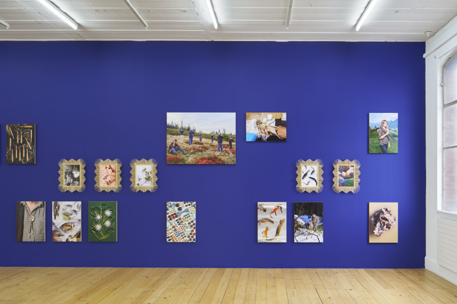 Exhibition view, Laurence Kubski, Sauvages, Kunsthalle Friart Fribourg, 2024. Photo: Guillaume Python. Courtesy of the artist and Kunsthalle Friart Fribourg