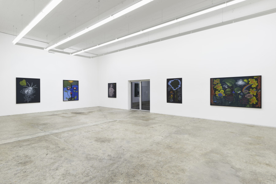 Exhibition view, Sabian Baumann, Nature (presque) morte, Galerie Mark Müller, Zürich, 2025. Photo credit: Conradin Frei & Galerie Mark Müller, Zürich.