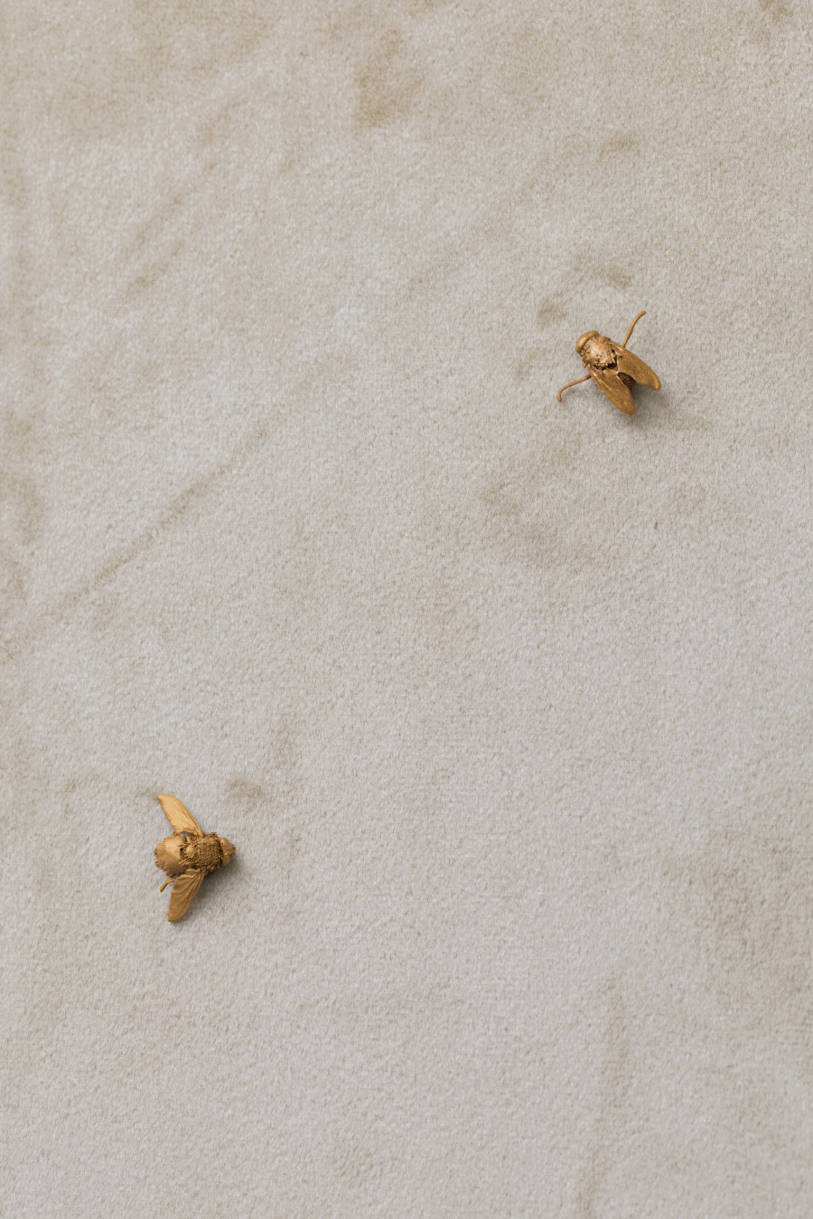 Exhibition view, Clément Grimm, VIDEO 50, KISSED THEN BURNED, Geneva, 2025-2026. Photo credit: Antoni Aeby