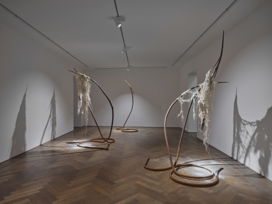 Dominique White, All Great Powers Collapse from the Centre, exhibition view, Kunsthalle Basel, 2026, photo: Philipp Hänger / Kunsthalle Basel