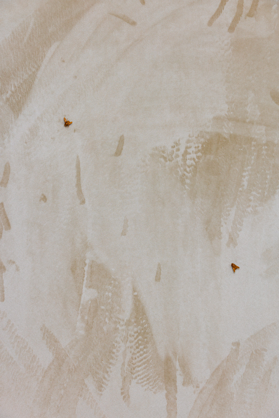 Exhibition view, Clément Grimm, VIDEO 50, KISSED THEN BURNED, Geneva, 2025-2026. Photo credit: Antoni Aeby