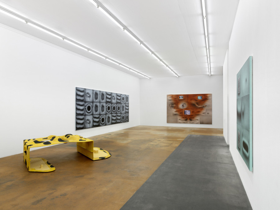 Tishan Hsu, vue d'exposition, MAMCO, 2024. Photo: Annik Wetter