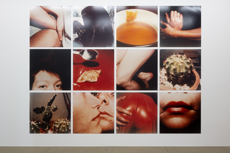 Installationsansicht Davor · Darin · Danach. Die Sammlung im Wandel, 15.5.–7.8.2022, Aargauer Kunsthaus, Aarau. Hannah Villiger (*1951). Arbeit (12-teilig), 1980/1981, C-Print ab Polaroidvorlage auf Aluminium, 355 x 475 cm. Aargauer Kunsthaus, Aarau. Foto: ullmann.photography