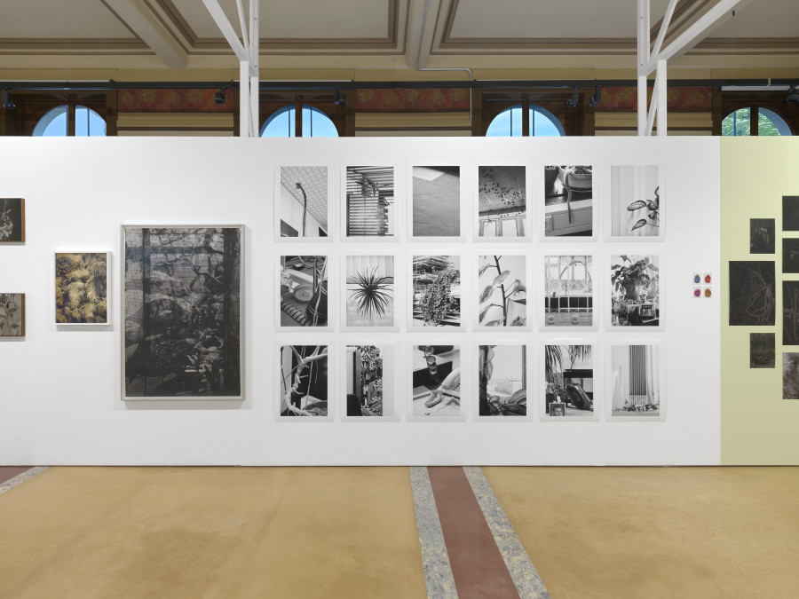 Installation view, Bruissements végétaux, Centre de la photographie Genève, 2025. Photo credit: Annnik Wetter