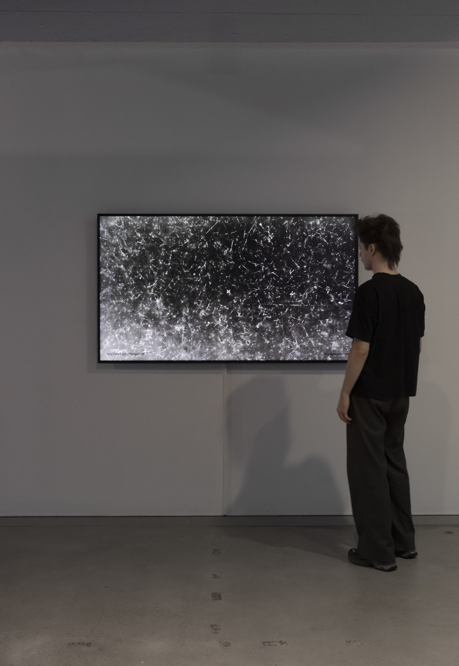 Joan Heemskerk, NO-MATTER, 2024, «Quantum Visions», 2025, HEK, photo: Franz Wamhof