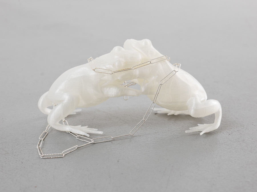 View of the exhibition Caroline Schattling Villeval, Carences et toute-puissance, CEC, 2024 Exhibition from January 19 to March 1, 2024. Courtesy Centre d’édition contemporaine, Geneva. Photo : © Sandra Pointet