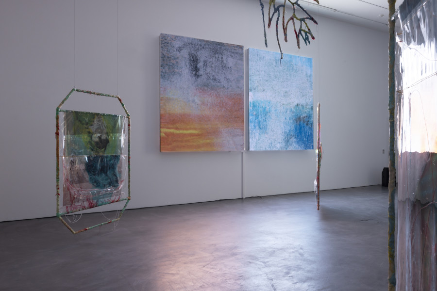 Installation view ‘Julien Creuzet - Orpheus was musing upon braised words (...)’, Luma Westbau, Zurich, 2023. Photo: Nelly Rodriguez
