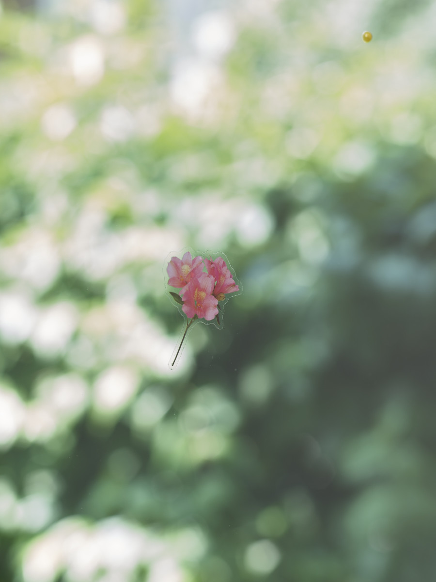 Installation view, Jasmin Werner, Apparat Kleptokrat, Damien & The Love Guru, Zürich, 2025. Courtesy of the artist and Damien & The Love Guru, Brussels/Zurich. Photography : Felix Jungo