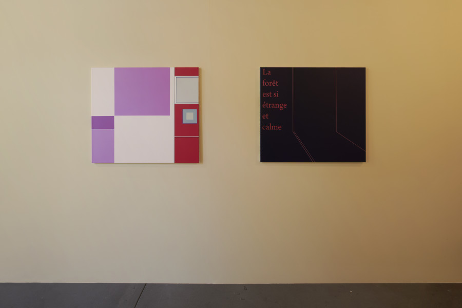 Exhibition view, Andreas Hochuli, The Year of the Babyshit Brown SUV, 2023. Photo : Guillaume Python. Courtesy of Kunsthalle Friart Fribourg and the artist