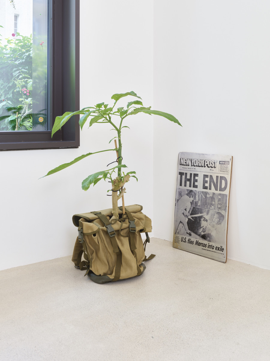 Installation view, Jasmin Werner, Apparat Kleptokrat, Damien & The Love Guru, Zürich, 2025. Courtesy of the artist and Damien & The Love Guru, Brussels/Zurich. Photography : Felix Jungo