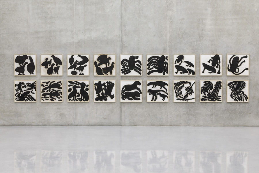 Solange Pessoa, Untitled, from the series Animal, 2004–2008, Installation view third floor Kunsthaus Bregenz, 2023. Photo: Markus Tretter. Courtesy of the artist, Mendes Wood DM. © Solange Pessoa, Kunsthaus Bregenz