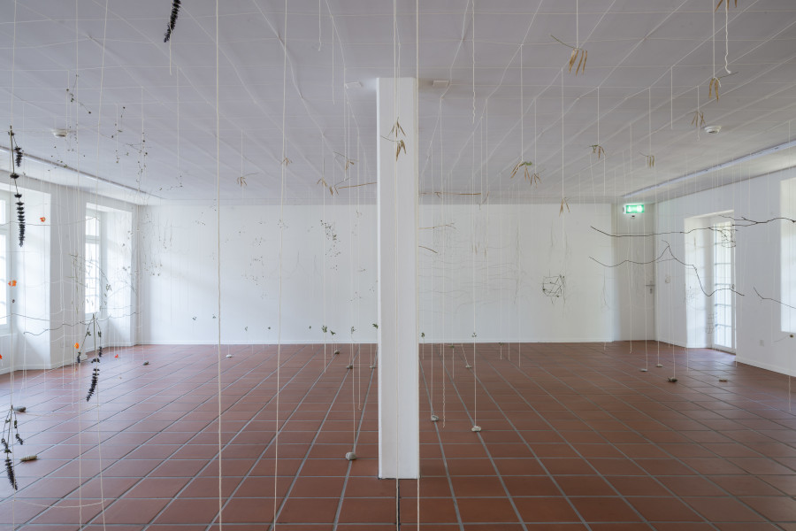 Julia Steiner, «Partitur der Natur», 2023. Ortsspezifische Installation. Baumwollgarn, Pflanzenteile, Flusssteine. Foto: Ullmann.Photography