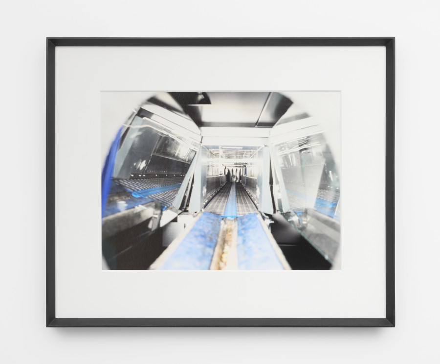 Angharad Williams, Origin nature destiny 3, 2024. suns.works, Zürich, 2025. ©2025 suns.works and the artists. Photography: Claude Barrault