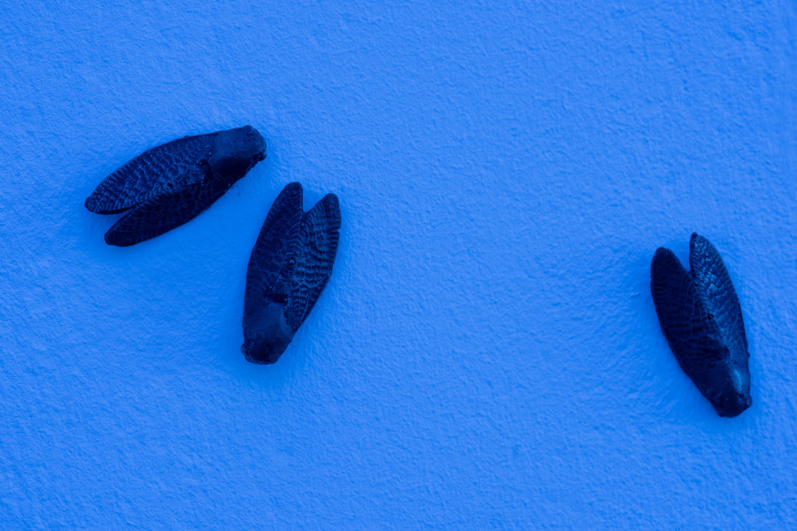 Marta Margnetti, Coro per Serenata, detail, 2020-2024. Collection of the Swiss Confederation, Federal Office of Culture, Berne. Photo: Kunst Halle Sankt Gallen, E. Sommer.