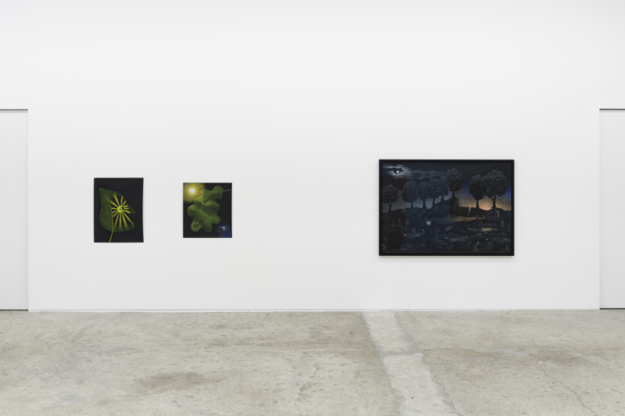 Exhibition view, Sabian Baumann, Nature (presque) morte, Galerie Mark Müller, Zürich, 2025. Photo credit: Conradin Frei & Galerie Mark Müller, Zürich.