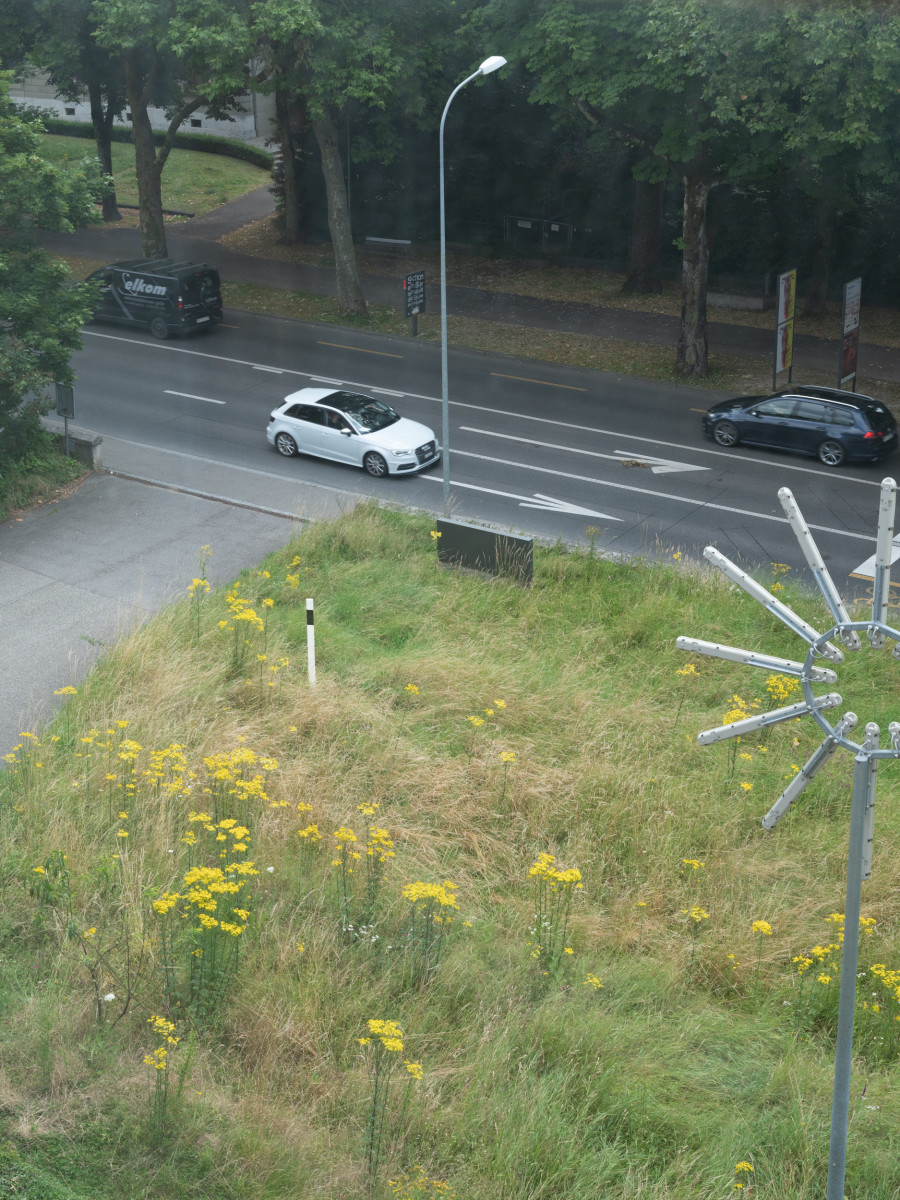 Exhibition view, Alexandra Bircken, SomaSemaSoma, Kunsthaus Biel Centre d’art Bienne, 2025. Photo credit: Lea Kunz