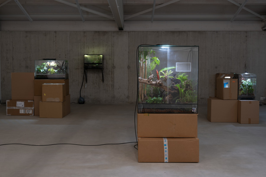 Leonardo Bürgi Tenorio, homescapes, 2025. Ausstellungsansicht / Installation view Kunsthaus Baselland 2025. Courtesy of the artist. Foto / Photo: Finn Curry