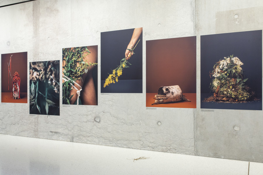 Installation view, Ann Shelton, I am an old phenomenon, Centre de la photographie Genève, 2025. Photo credit: Aline Bovard Rudaz