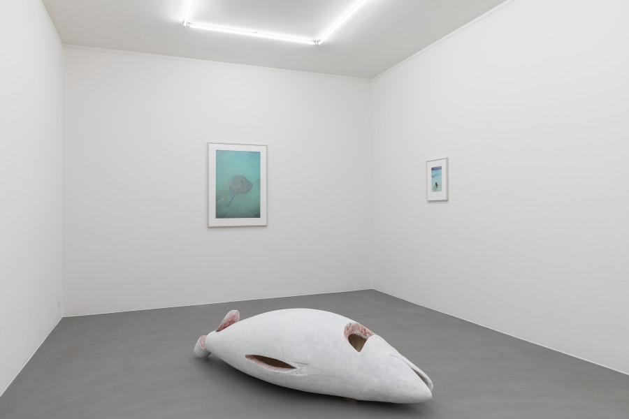 Exhibition view, When the well’s dry, Mai 36 Galerie, 2022.
