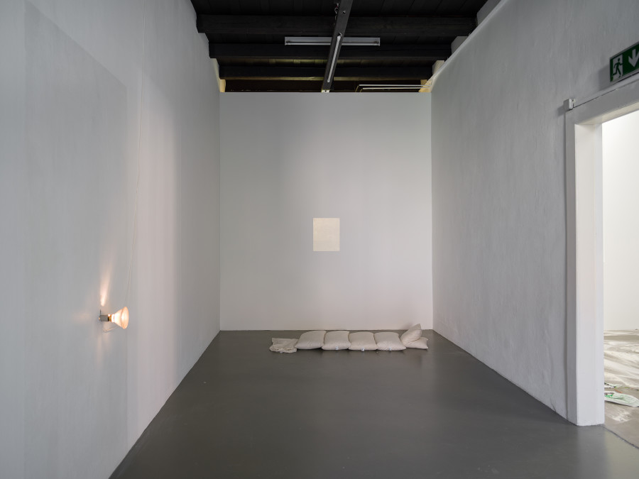 Jason Dodge, installation view, Kunsthalle Friart Fribourg, 2026. Photo: Cedric Mussano