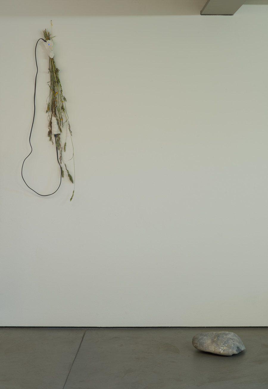 Exhibition view, Andreas Weber / Ramon Feller, Benzeholz, 2024.