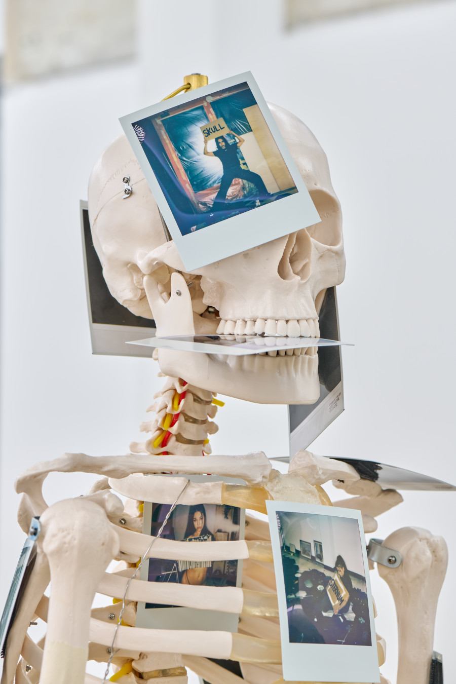 Exhibition view, Chris Lovasoa Kauffmann, Mammoth steps. One for Kevin, two for Lisa, Halle Nord, Geneva, 2025. Photo credit: © Thomas Maisonnasse / Halle Nord, 2025