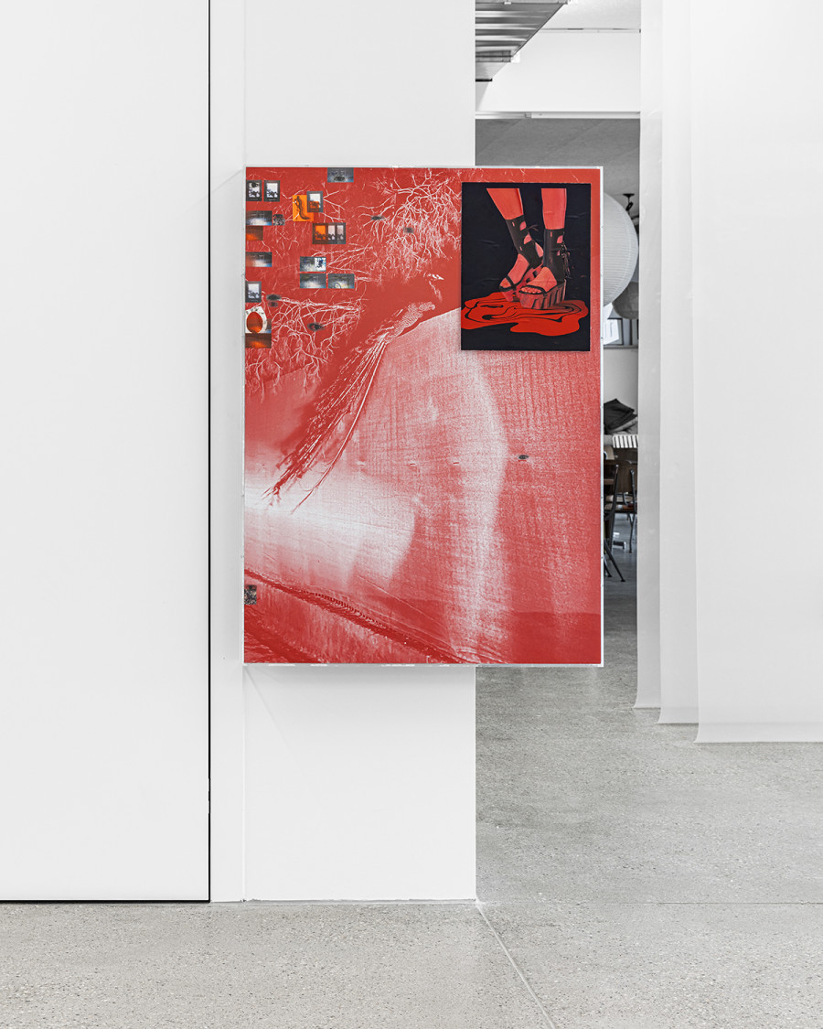 Vue d’exposition « Version Cue », Niels Trannois, The late bird show (the great escape), 2024, 121x87x10 cm, oil on canvas on Plexiglas, print on fabric, paper, gelatin, CALM – Centre d’Art La Meute, Lausanne, Switzerland, 2025 / Photo: Théo Dufloo / Courtesy of the artist.