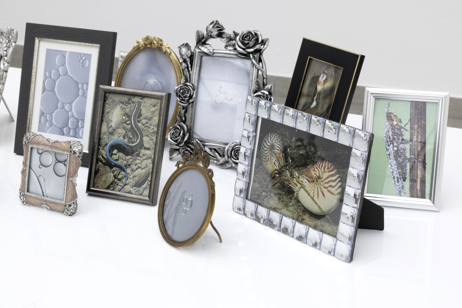 Hélène Fauquet, life-world, Detail / detail, 2023. Hélène Fauquet, Phenomena, Ausstellungsansicht / installation view, Kunsthaus Glarus, 2023. Foto / Photo: Gina Folly