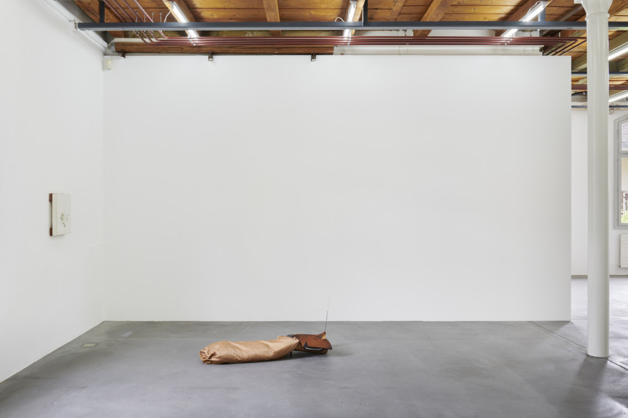 Exhibition view, Brad Kronz, Nine Types of Industrial Pollution, Kunsthalle Friart Fribourg, 2023. Photo : Guillaume Python. Courtesy of the artist and Kunsthalle Friart Fribourg