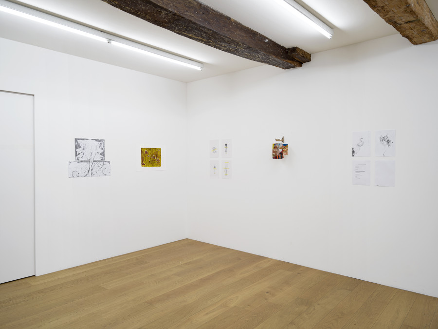 Kirchgasse Gallery, Didactic Poetry, Installation View, 2023 / Photo: Cedric Mussano / Courtesy: The artist and Kirchgasse Gallery