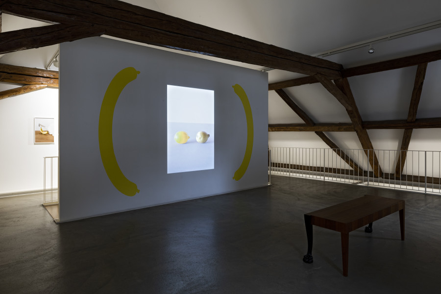 Ausstellungsansicht / Exhibition view, Kathrin Sonntag – Sobjects, Kunst Raum Riehen, 2025. Photo: Gina Folly