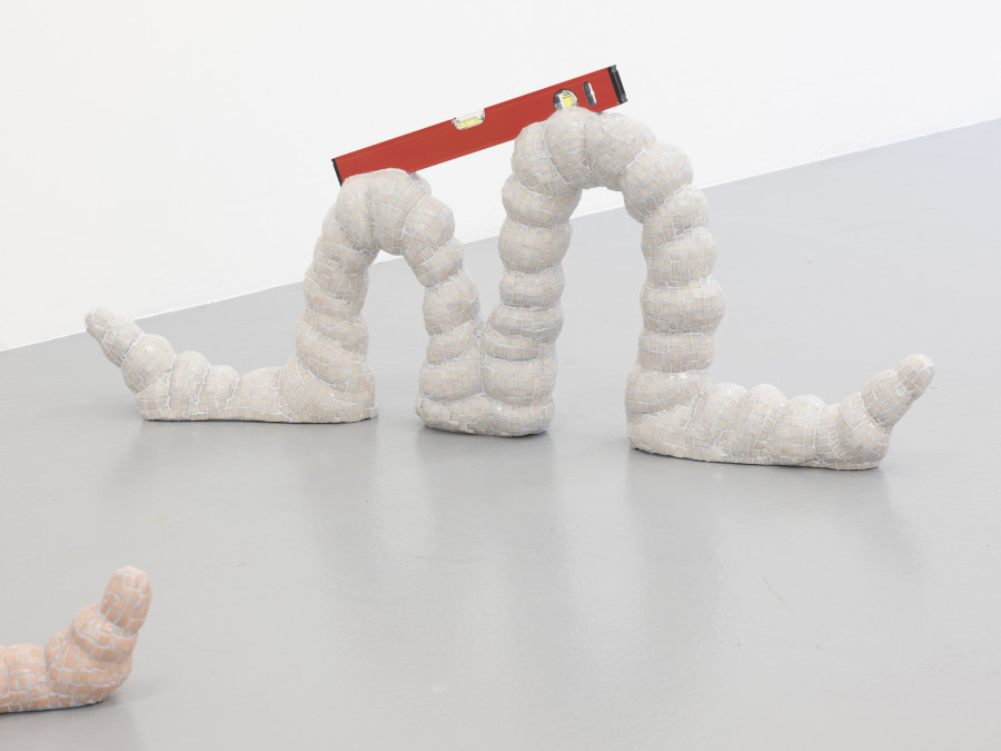 Zsófia Keresztes, Fence, 2022, Soft Alliance I-VI, Installation view, CAN Centre d’Art Neuchâtel, Photo: S. Verdon