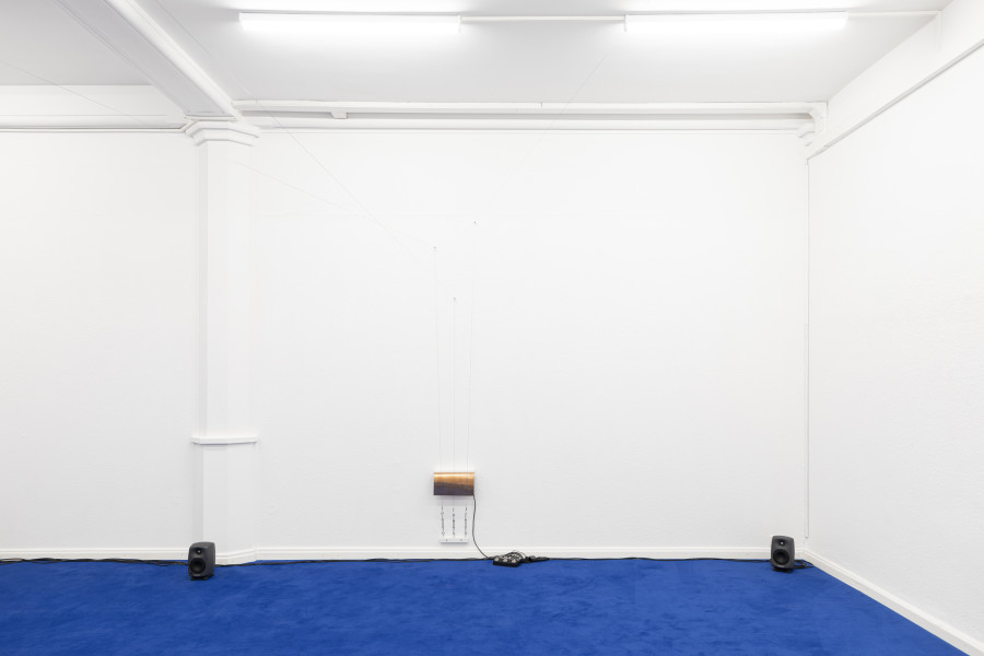 Installation view, SOMA1, Monika Stalder, KRONE COURONNE, 2024. Photo credit: © Michal Florence Schorro