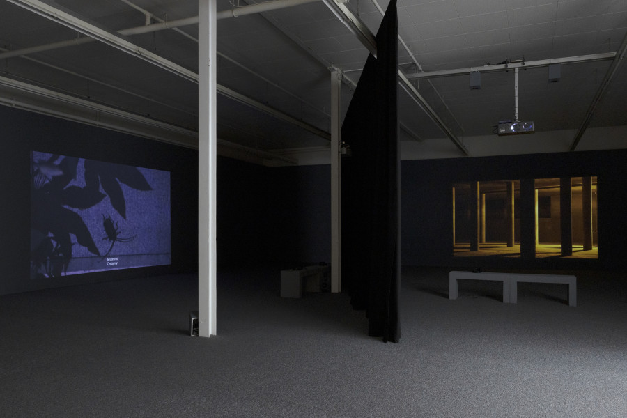 Maya Schweizer, L’étoile de mer, 2019, Video, 12 min. © Maya Schweizer / 2023, ProLitteris Zürich. Commissioned by Historisches Museum Frankfurt (2019). Courtesy the artist. Installation view Kunsthaus Baselland 2023. Photo: Gina Folly