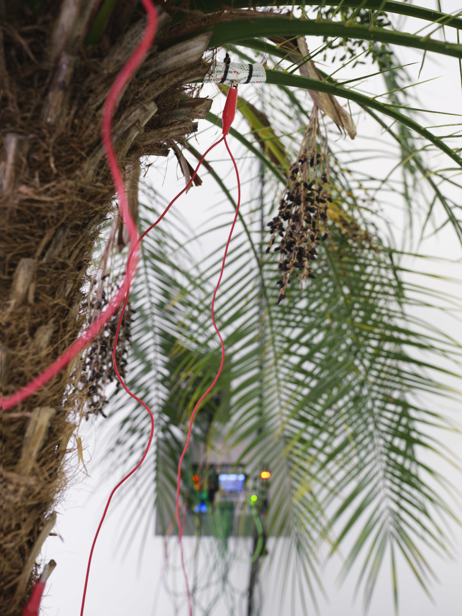 Bagus Pandega and Kei Imazu, Artificial Green by Nature Green v.5, detail, in: Bagus Pandega, Sumber Alam, Kunsthalle Basel, 2025, photo: Philipp Hänger / Kunsthalle Basel