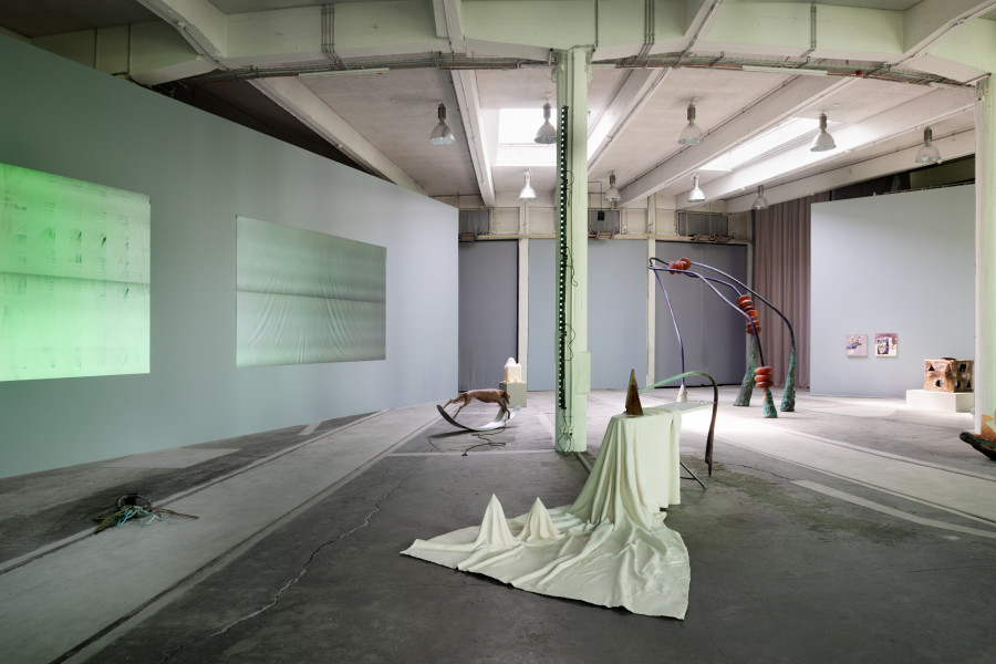 Camille Henrot, Sweet Days of Discipline, installation views LOK by Kunstmuseum St.Gallen Photo: Sebastian Stadler © Camille Henrot, Adagp, Paris, 2023 Supported by Mennour, Paris and Hauser & Wirth