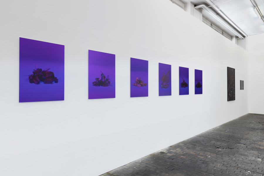 Installation view, Léonie Rose Marion, Relever la nuit, Centre de la photographie Genève, 2024. Photo credit: Lucas Olivet
